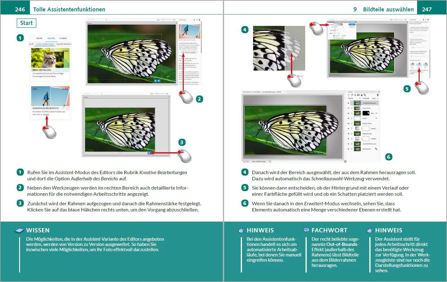 Bild: 9783988100399 | Photoshop Elements 2025 - Bild für Bild erklärt | Michael Gradias