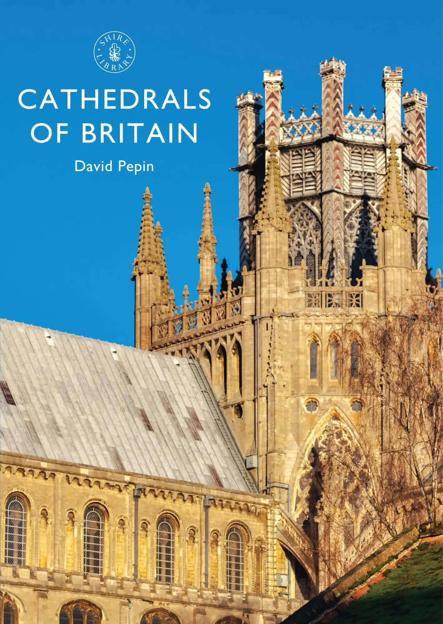 Cover: 9781784420499 | Cathedrals of Britain | David Pepin | Taschenbuch | Englisch | 2016