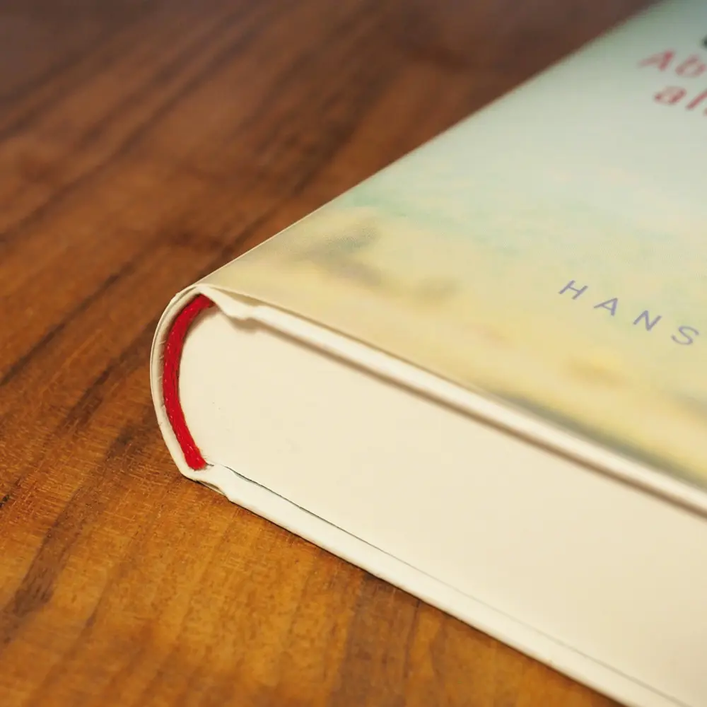 Bild: 9783446250499 | Ab morgen wird alles anders | Erzählungen | Anna Gavalda | Buch | 2017