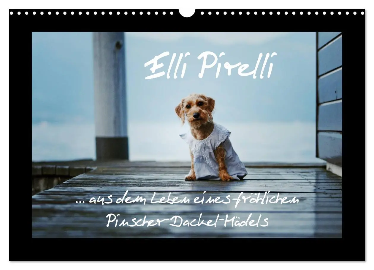 Cover: 9783516160499 | Elli Pirelli... aus dem Leben eines fröhlichen...