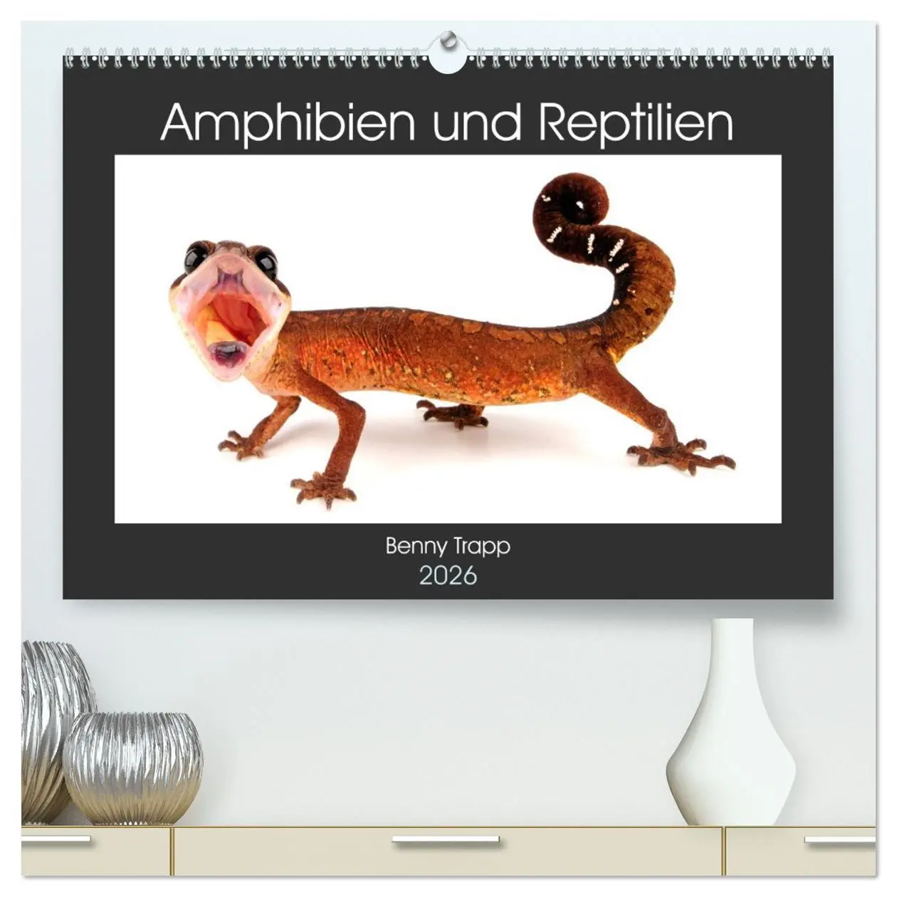 Cover: 9783457750599 | Amphibien und Reptilien (hochwertiger Premium Wandkalender 2026 DIN...