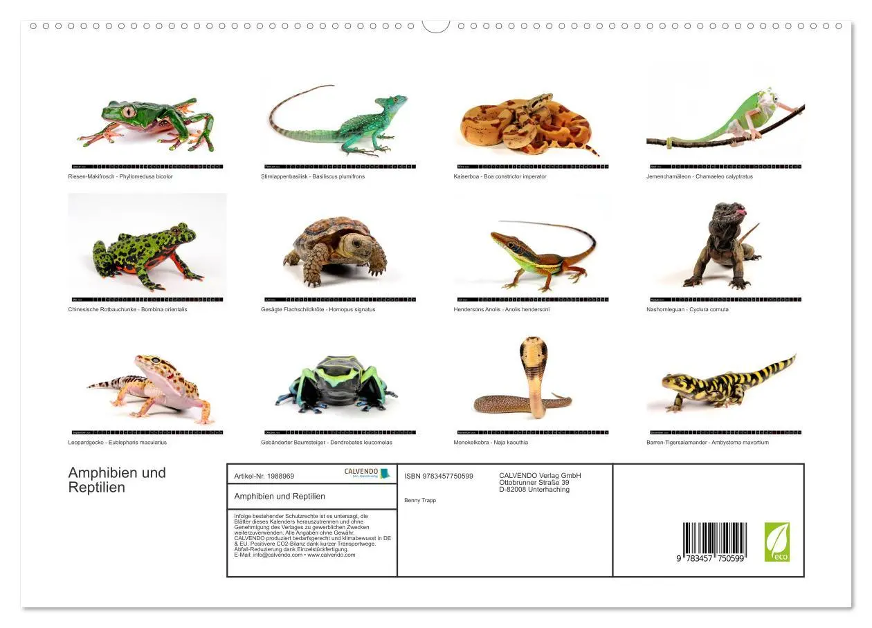 Bild: 9783457750599 | Amphibien und Reptilien (hochwertiger Premium Wandkalender 2026 DIN...