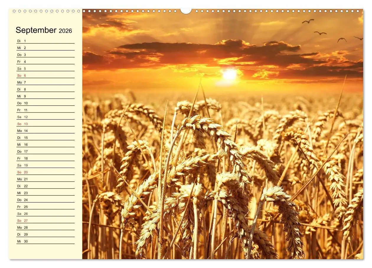 Bild: 9783457980699 | Bier. Die Kunst des Bierbrauens. Impressionen (hochwertiger Premium...