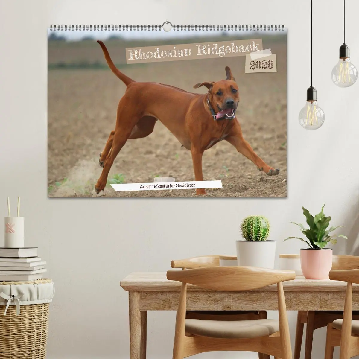 Bild: 9783457590799 | Rhodesian Ridgeback - Ausdrucksstarke Gesichter (Wandkalender 2026...