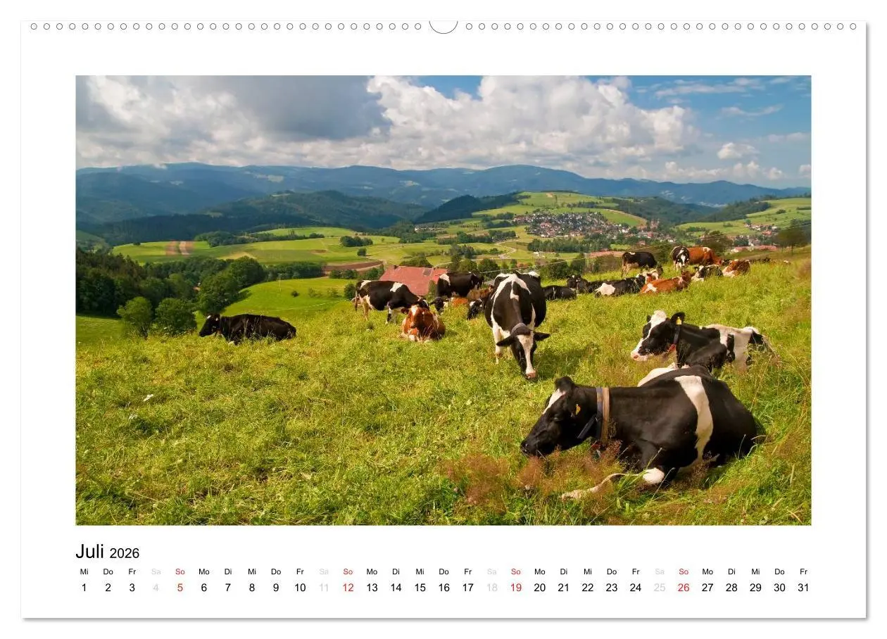 Bild: 9783516200799 | Schwarzwald 2026 (Wandkalender 2026 DIN A2 quer), CALVENDO...