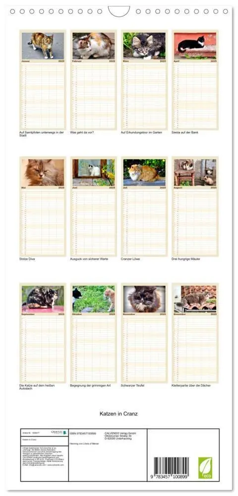 Bild: 9783457100899 | Familienplaner 2025 - Katzen in Cranz mit 5 Spalten (Wandkalender,...