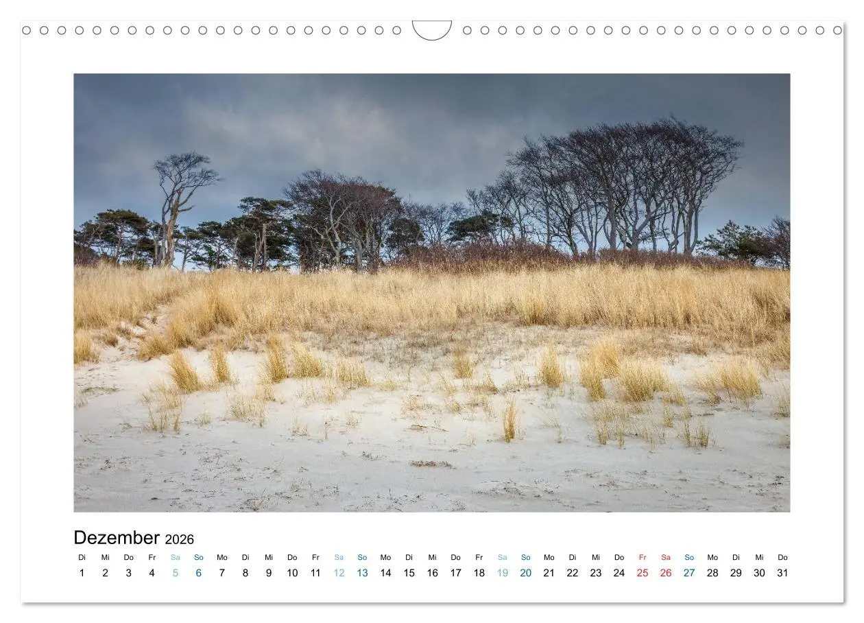 Bild: 9783516040999 | Fischland - Darß - Zingst: Zwischen Meer und Bodden (Wandkalender...