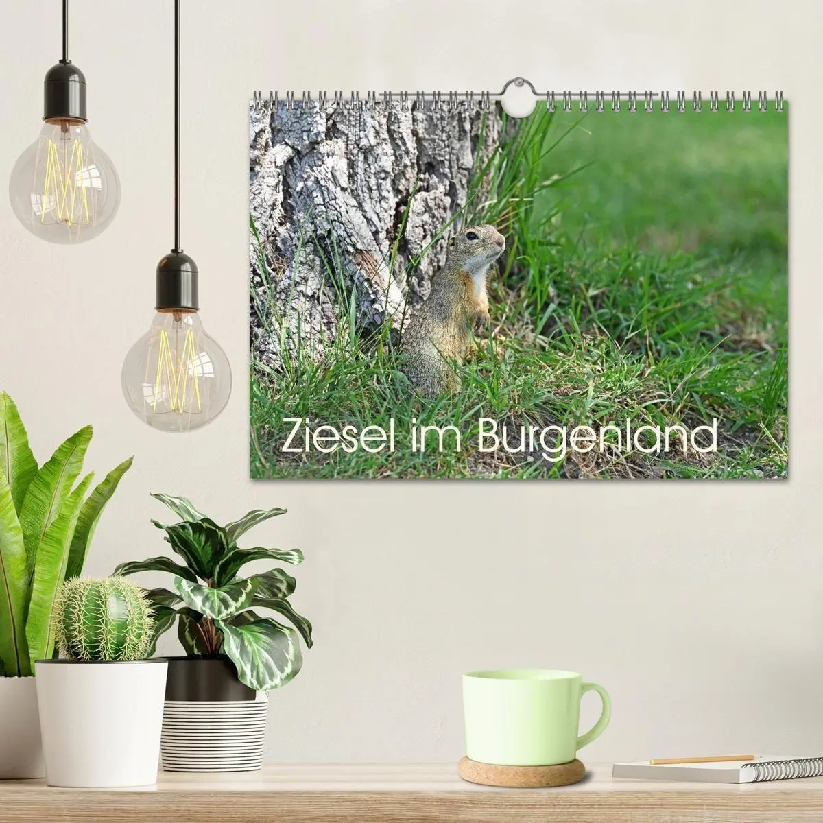 Bild: 9783516730999 | Ziesel im Burgenland (Wandkalender 2026 DIN A4 quer), CALVENDO...