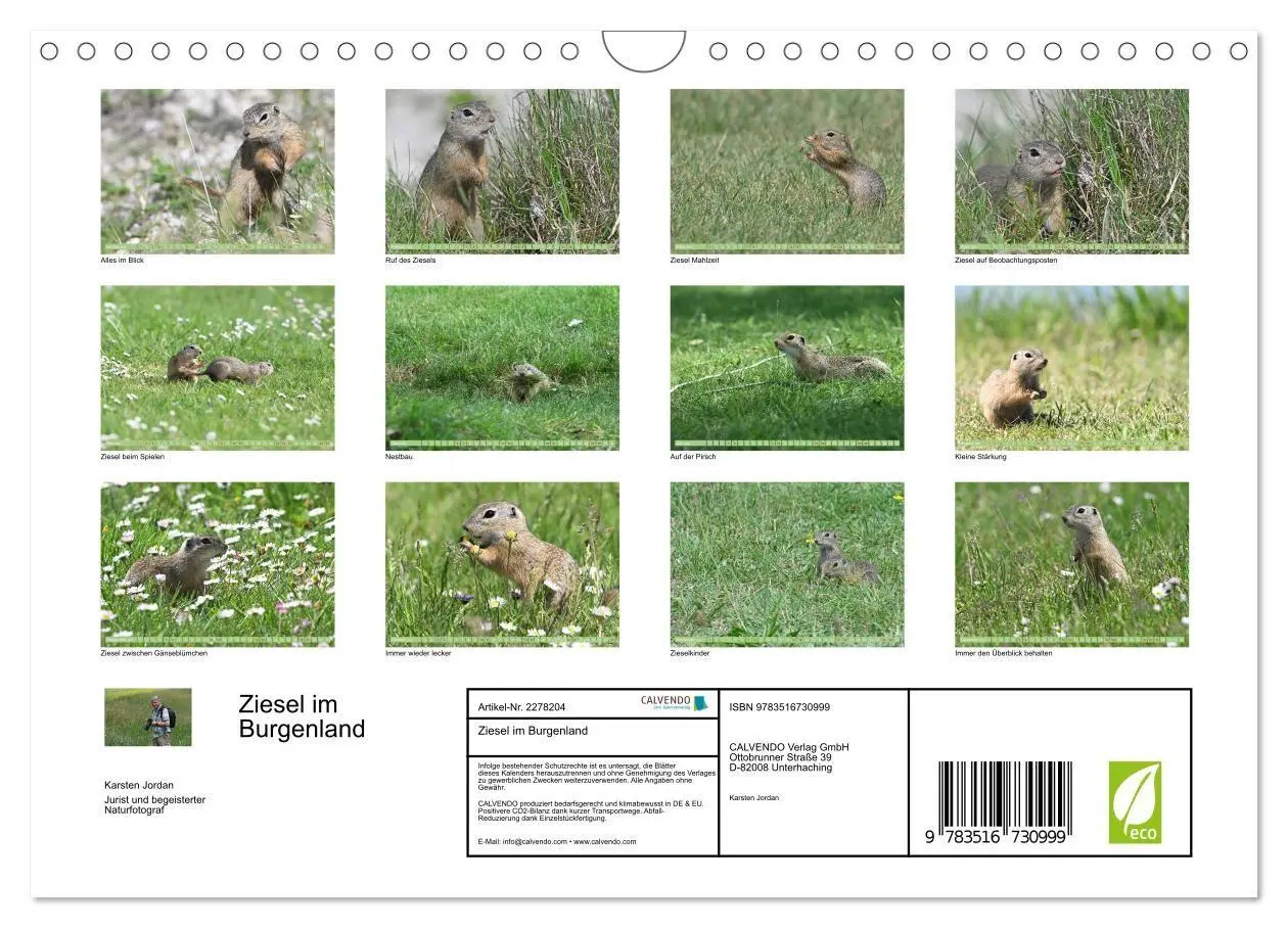 Bild: 9783516730999 | Ziesel im Burgenland (Wandkalender 2026 DIN A4 quer), CALVENDO...