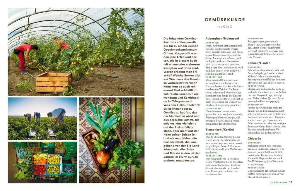 Bild: 9783710600999 | 30 Minuten Gemüseküche | Katharina Seiser (u. a.) | Buch | 176 S.
