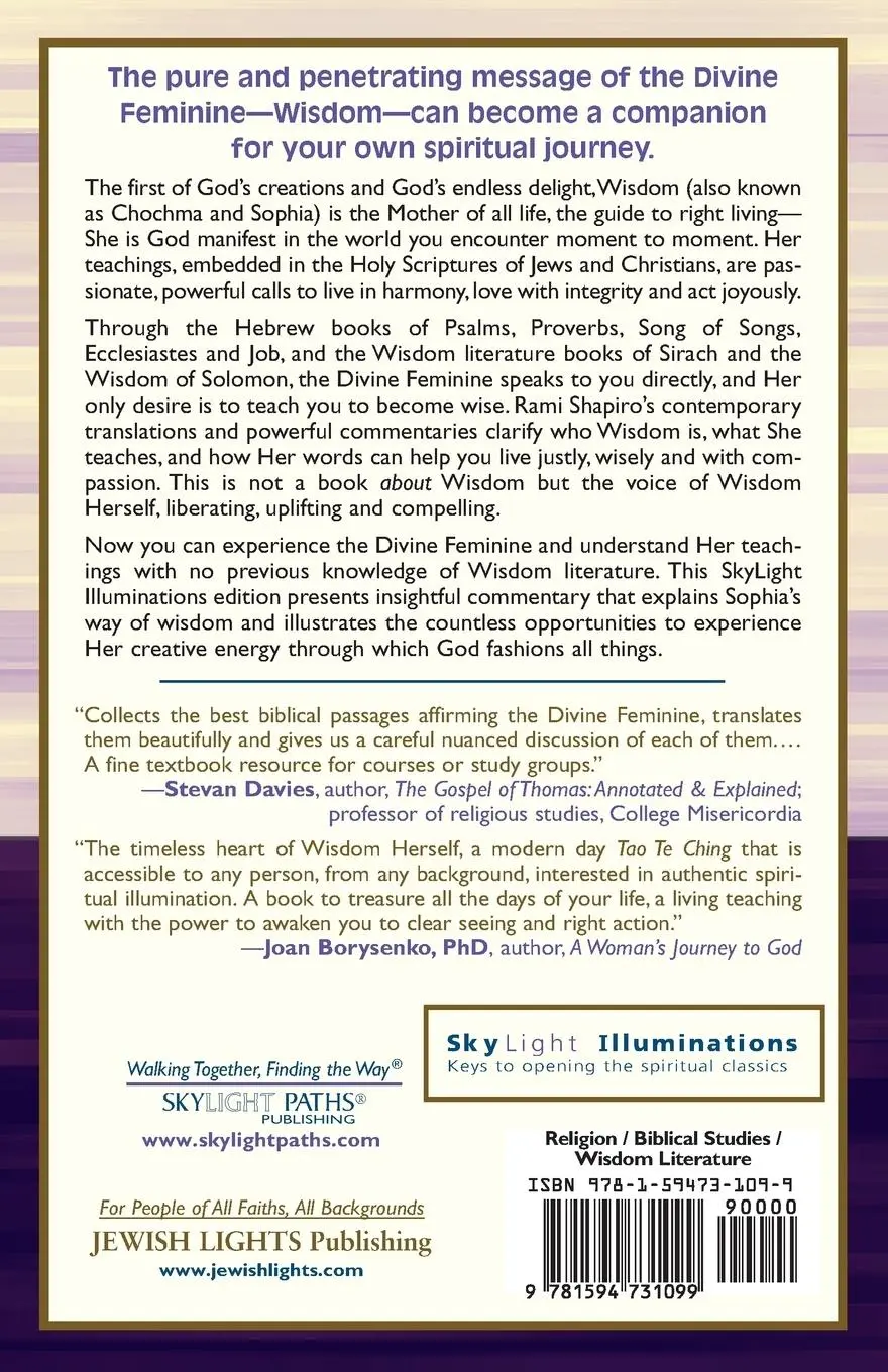 Rückseite: 9781594731099 | The Divine Feminine in Biblical Wisdom Literature | Taschenbuch | 2005