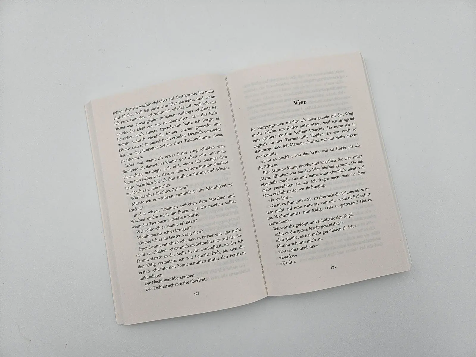 Bild: 9783492321099 | Eichhörnchenglück | Dana Lukas | Taschenbuch | 368 S. | Deutsch | 2025