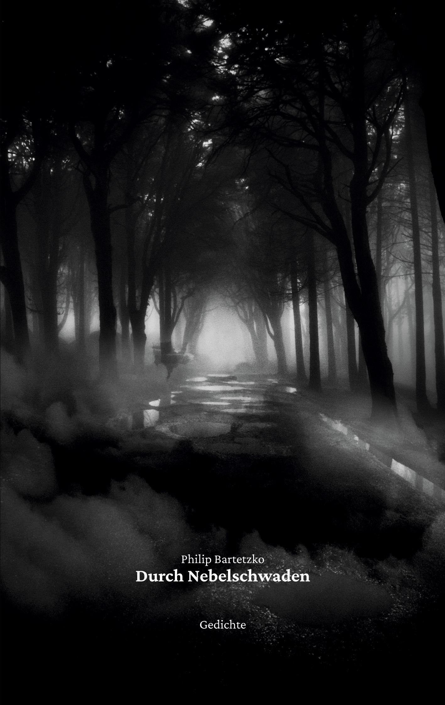Cover: 9783755761099 | Durch Nebelschwaden | Philip Bartetzko | Taschenbuch | Paperback