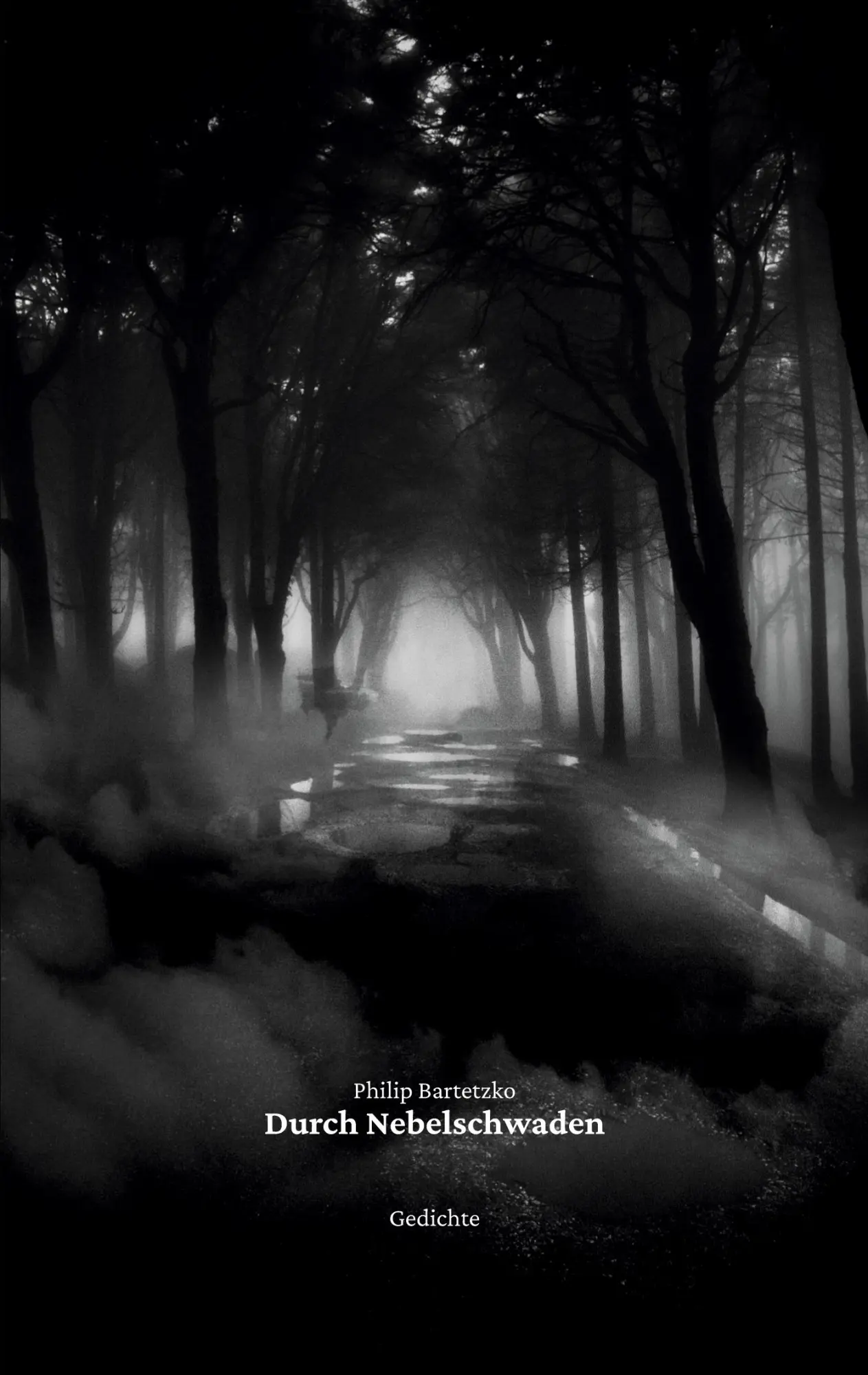Cover: 9783755761099 | Durch Nebelschwaden | Philip Bartetzko | Taschenbuch | Paperback