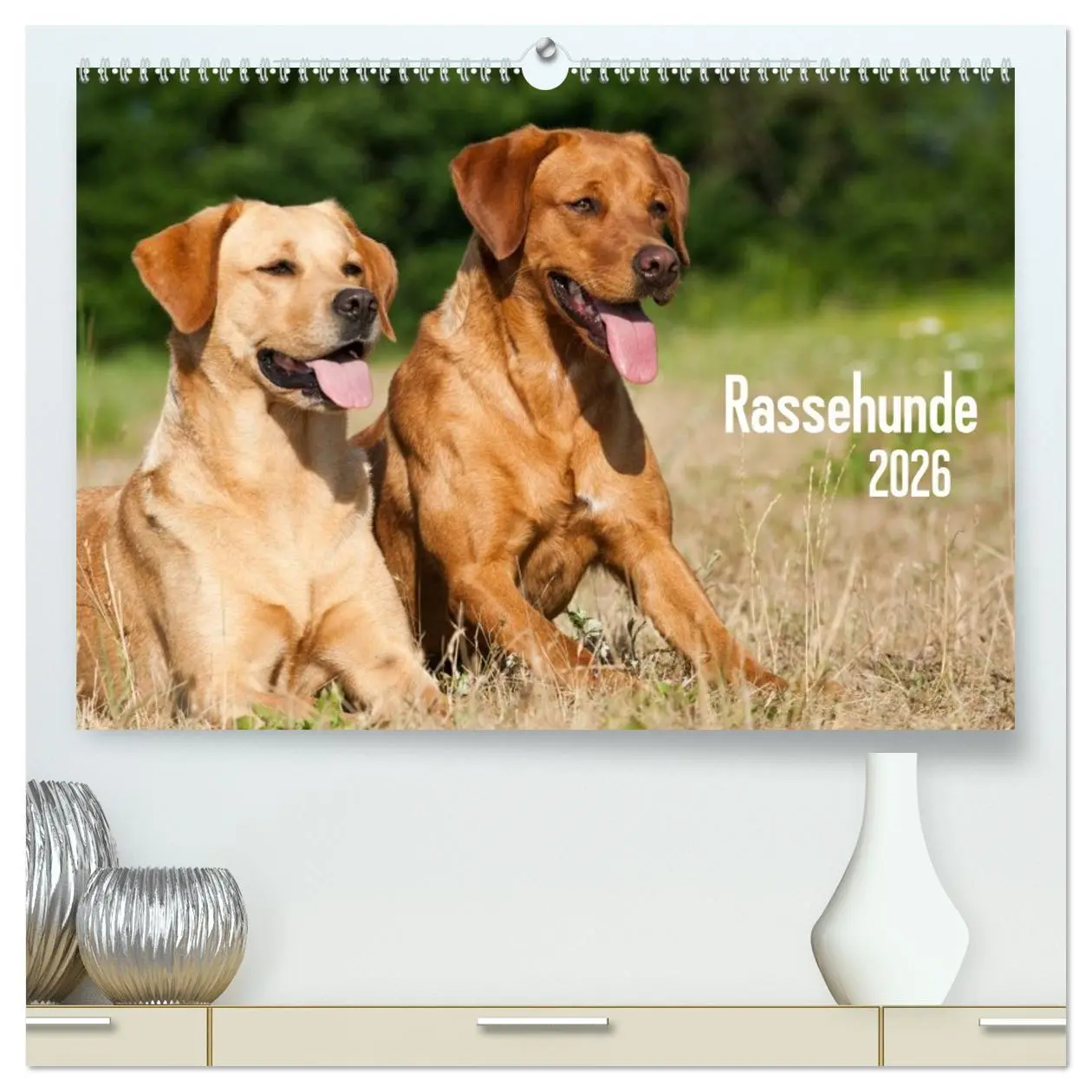 Cover: 9783516161199 | Rassehunde (hochwertiger Premium Wandkalender 2026 DIN A2 quer),...