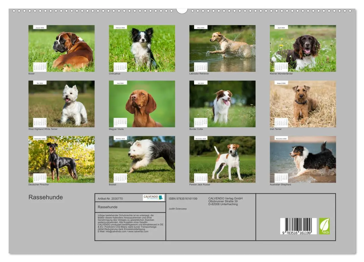 Bild: 9783516161199 | Rassehunde (hochwertiger Premium Wandkalender 2026 DIN A2 quer),...