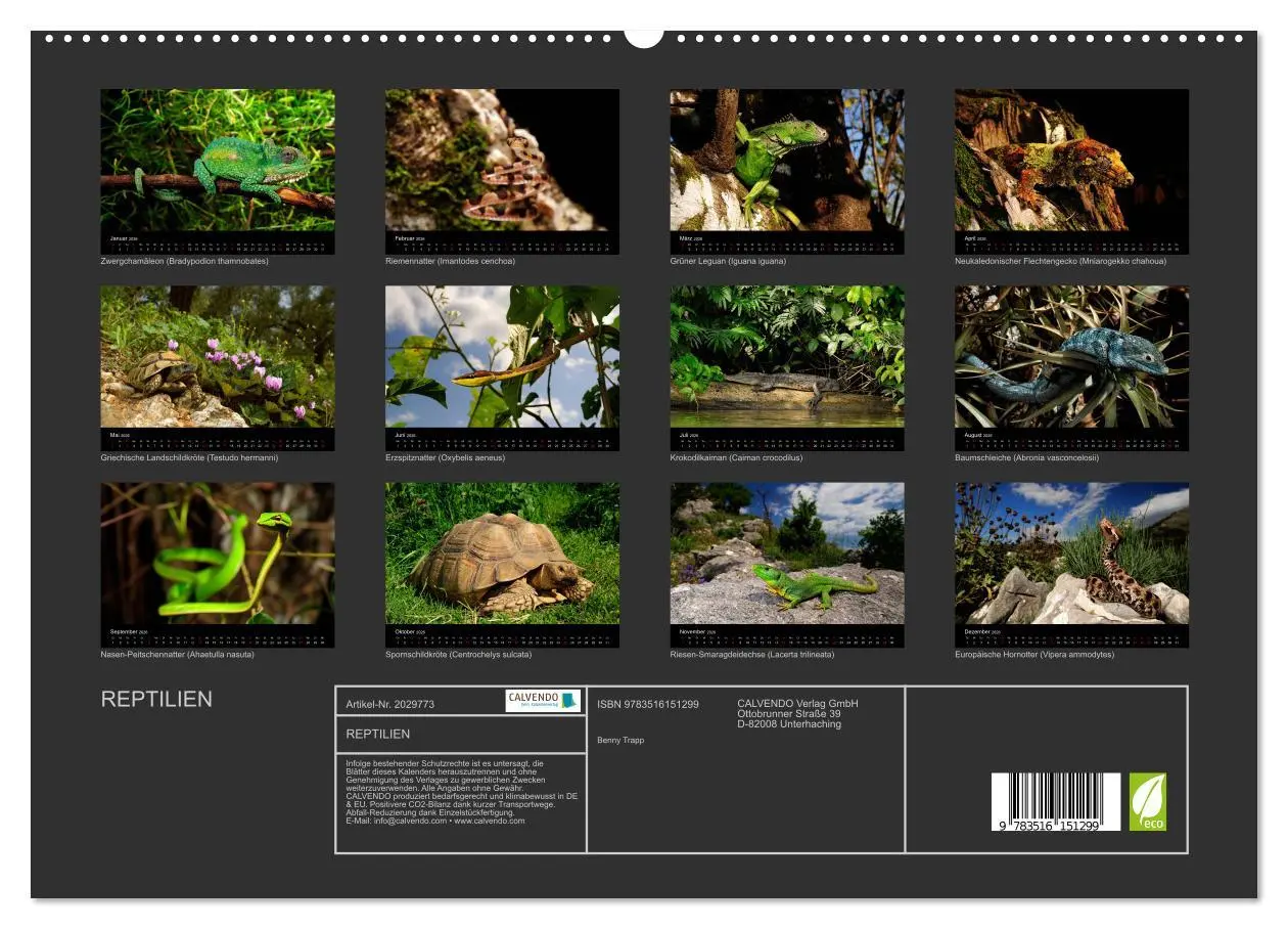 Bild: 9783516151299 | REPTILIEN (hochwertiger Premium Wandkalender 2026 DIN A2 quer),...