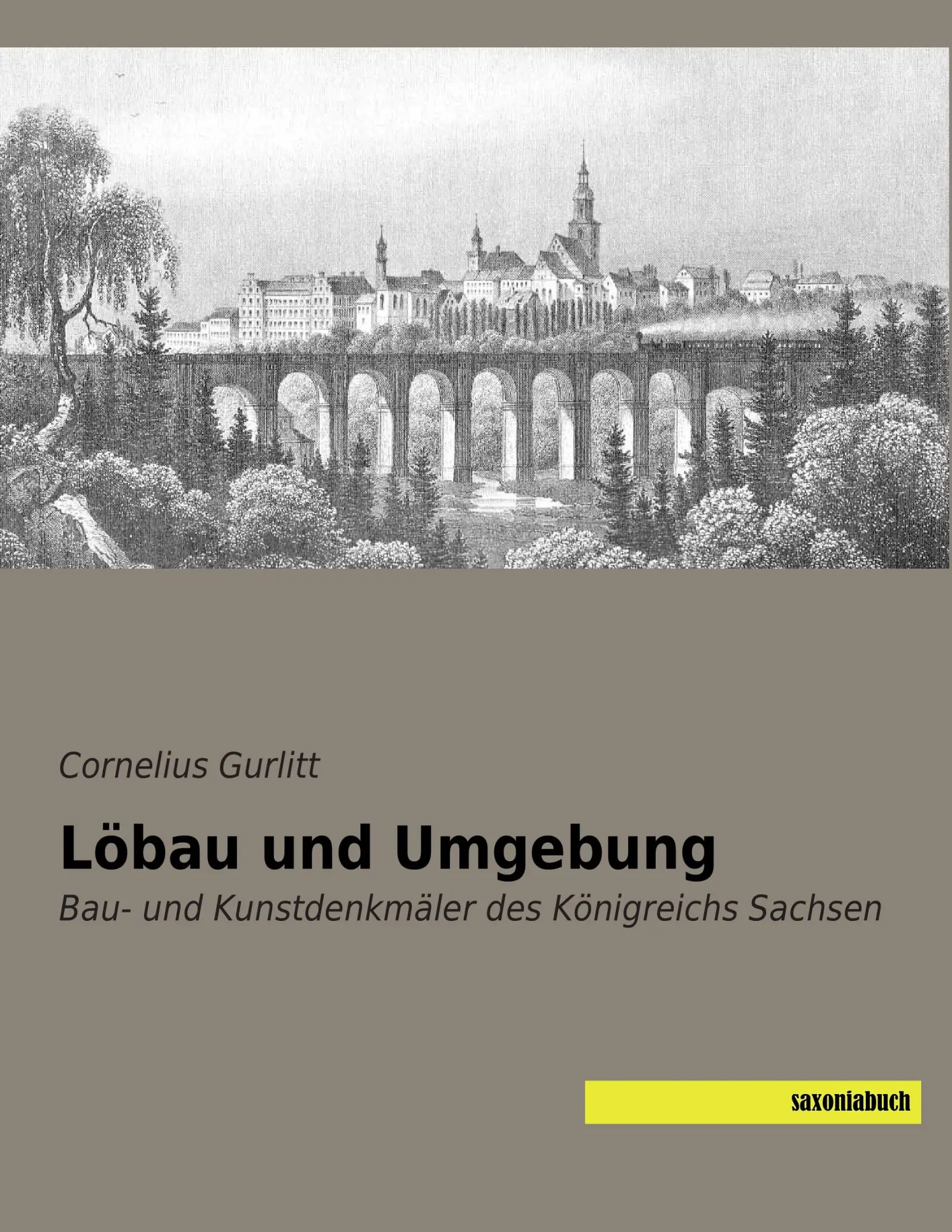 Cover: 9783957701299 | Löbau und Umgebung | Bau- und Kunstdenkmäler des Königreichs Sachsen