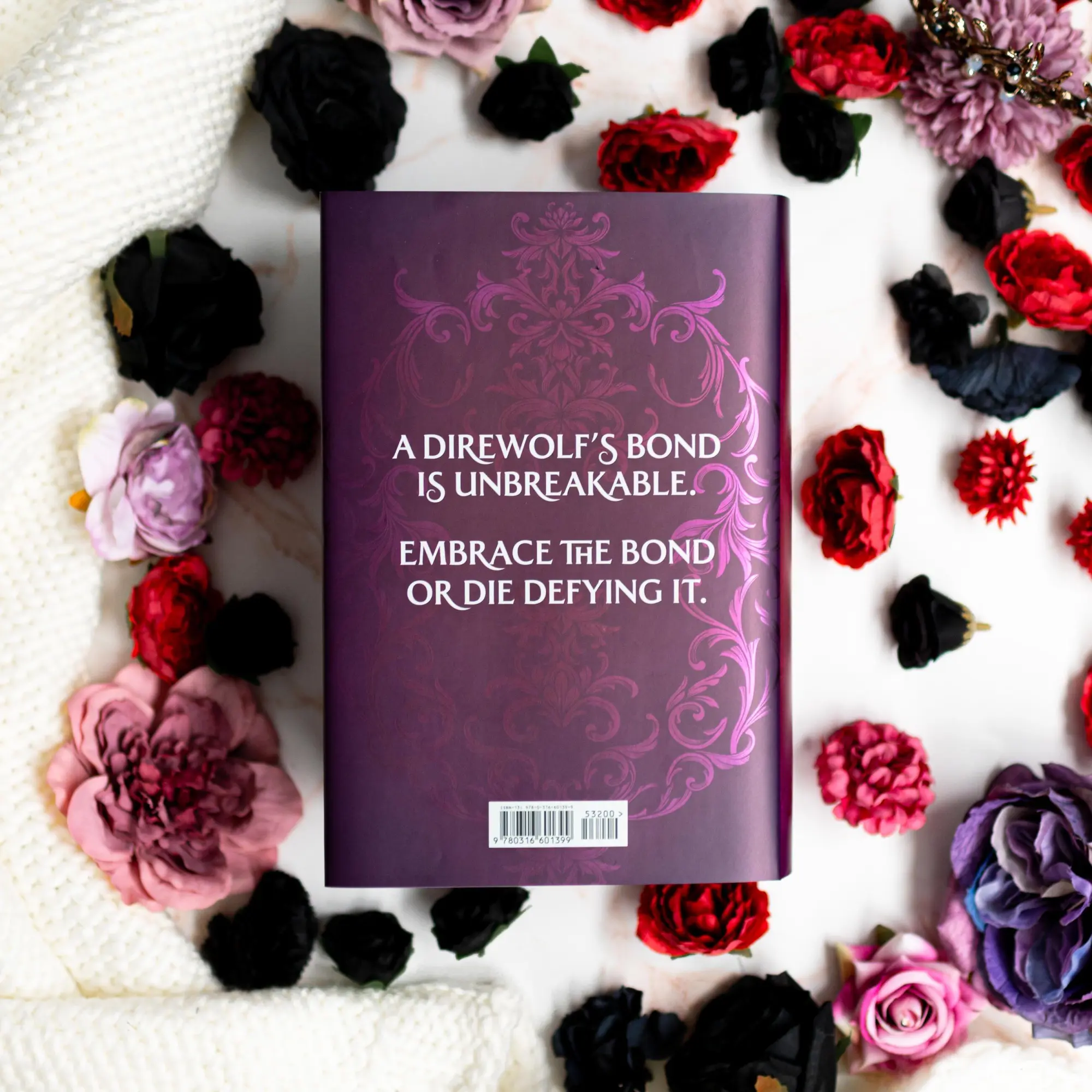 Bild: 9780316601399 | Dire Bound (Deluxe Limited Edition) | Sable Sorensen | Buch | Gebunden