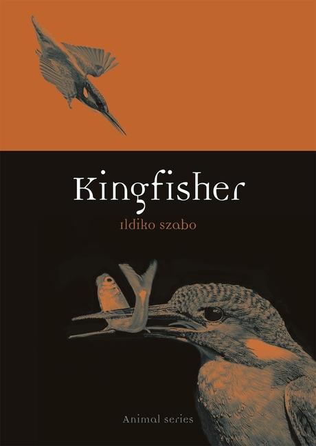 Cover: 9781789141399 | Kingfisher | Ildiko Szabo | Taschenbuch | Kartoniert / Broschiert