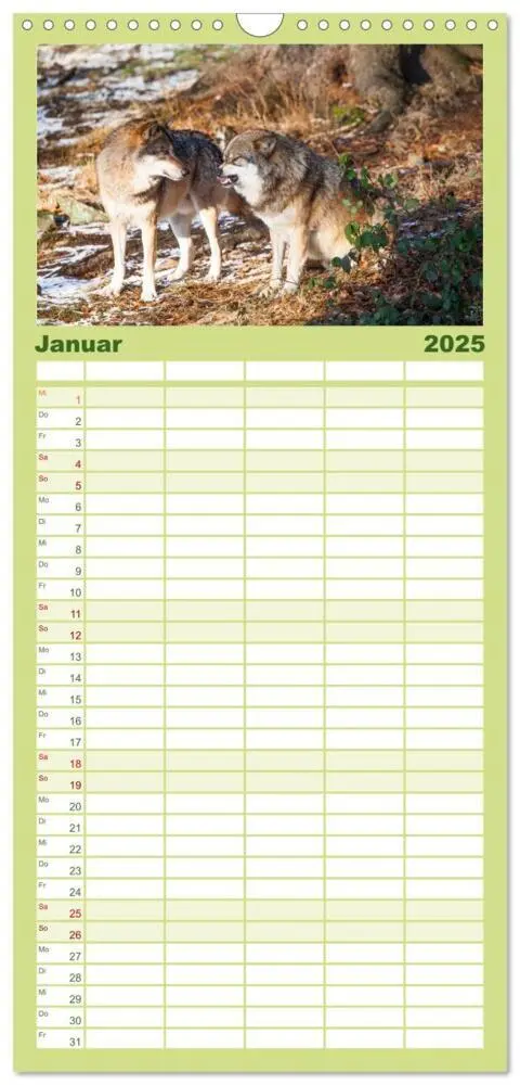 Bild: 9783457121399 | Familienplaner 2025 - Tierkalender 2025 mit 5 Spalten...