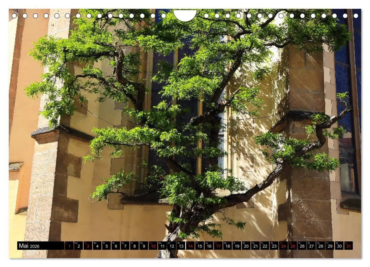 Bild: 9783457741399 | Rottenburg am Neckar - Eine Stadt am Limes (Wandkalender 2026 DIN...