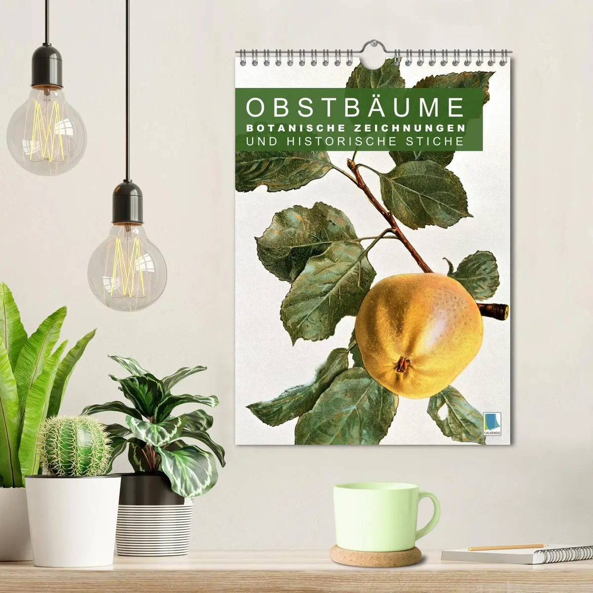 Bild: 9783516451399 | Obstbäume: Botanische Zeichnungen und historische Stiche...