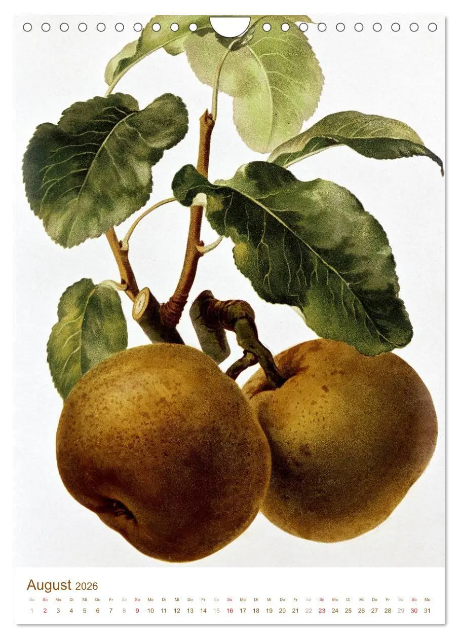 Bild: 9783516451399 | Obstbäume: Botanische Zeichnungen und historische Stiche...