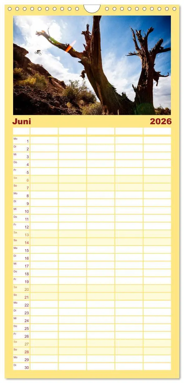Bild: 9783516521399 | Familienplaner 2026 - Mountain Bike 2026 by Stef. Candé mit 5...