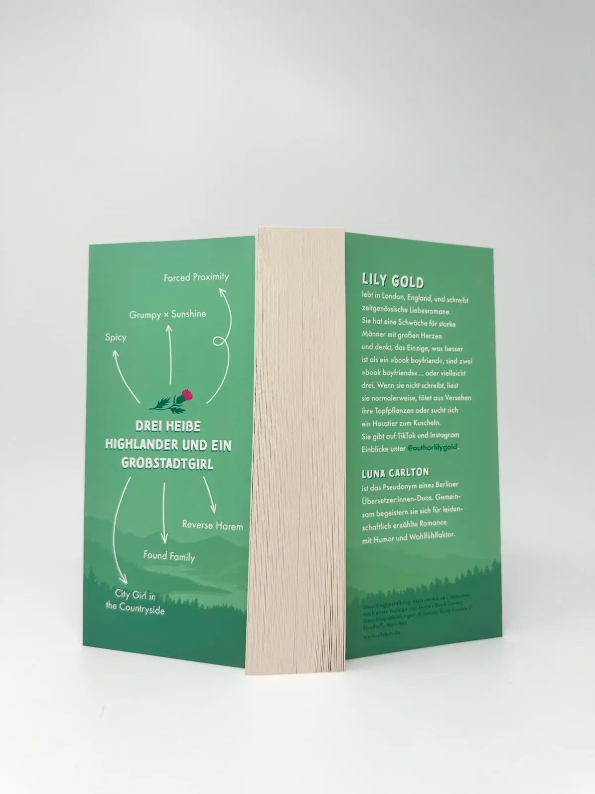 Bild: 9783989781399 | Highland Husbands | Roman | Lily Gold | Taschenbuch | 560 S. | Deutsch