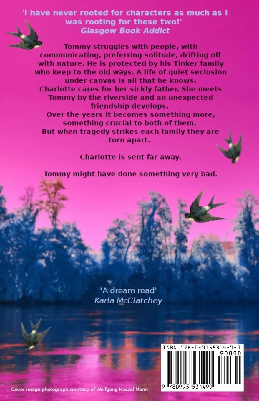 Rückseite: 9780995531499 | Before the Swallows Come Back | Fiona Curnow | Taschenbuch | Englisch