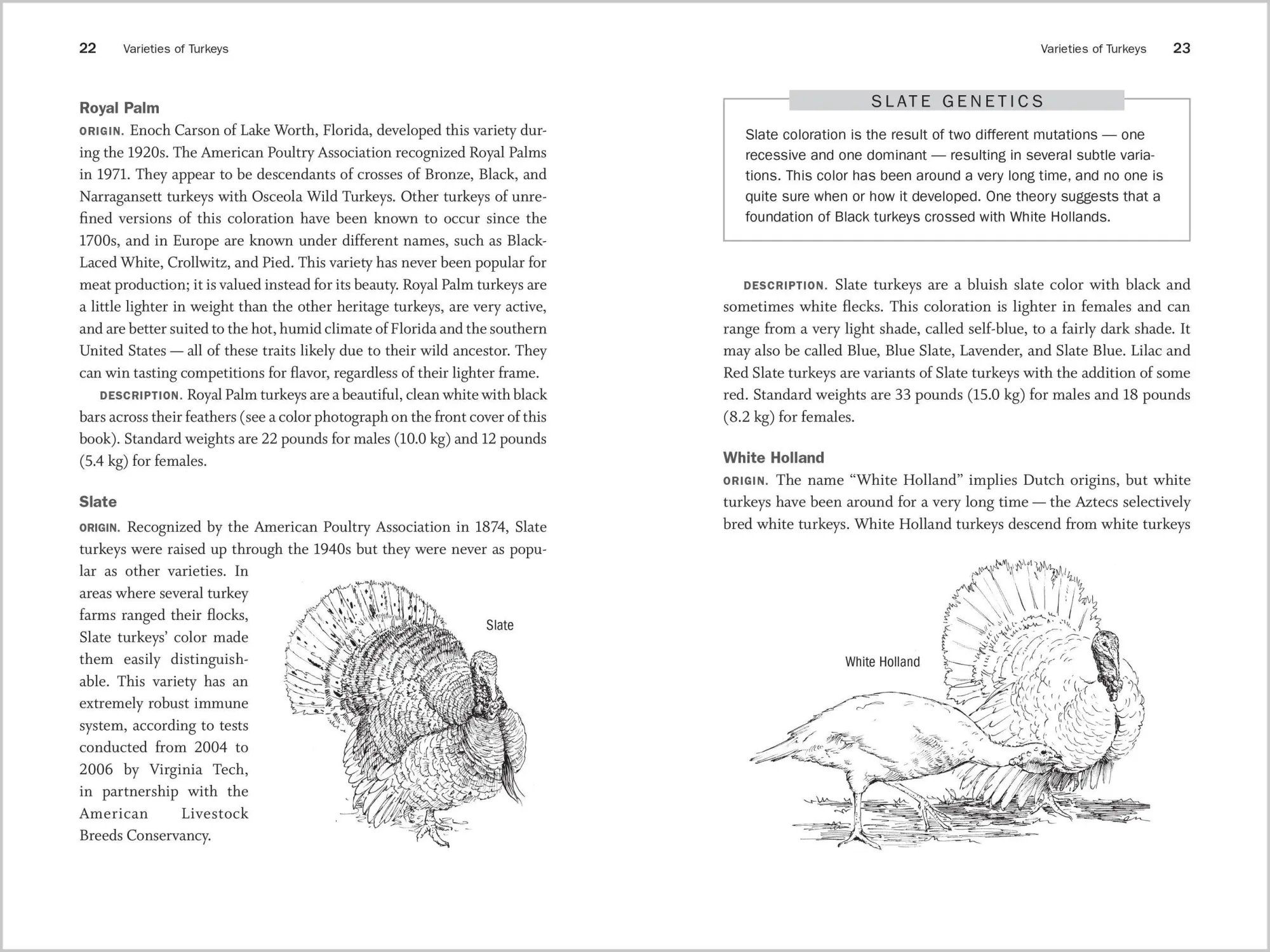 Bild: 9781612121499 | Storey's Guide to Raising Turkeys, 3rd Edition | Don Schrider | Buch
