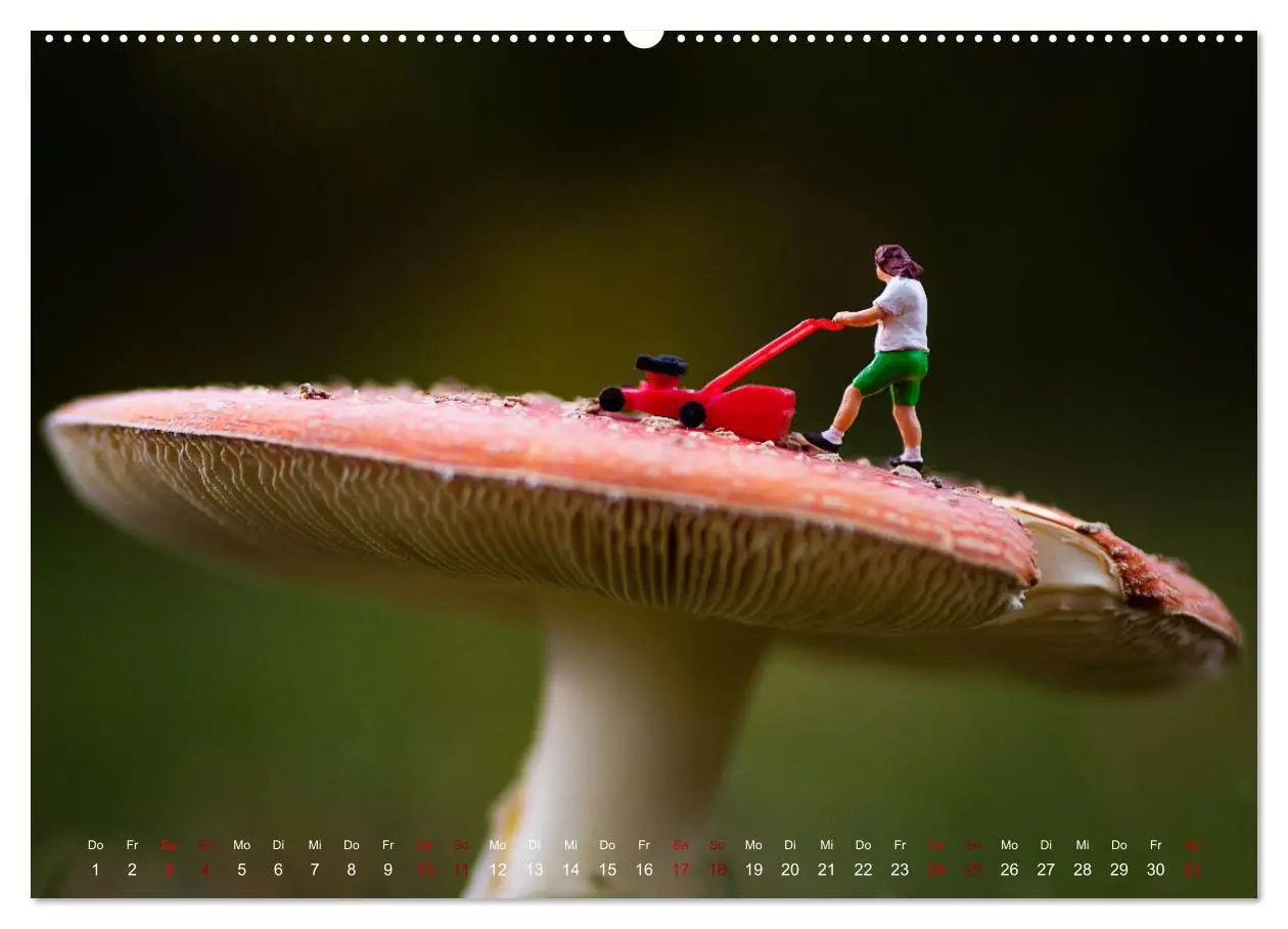 Bild: 9783457591499 | Höher, schneller, kleiner - Miniaturen in unserem Alltag...