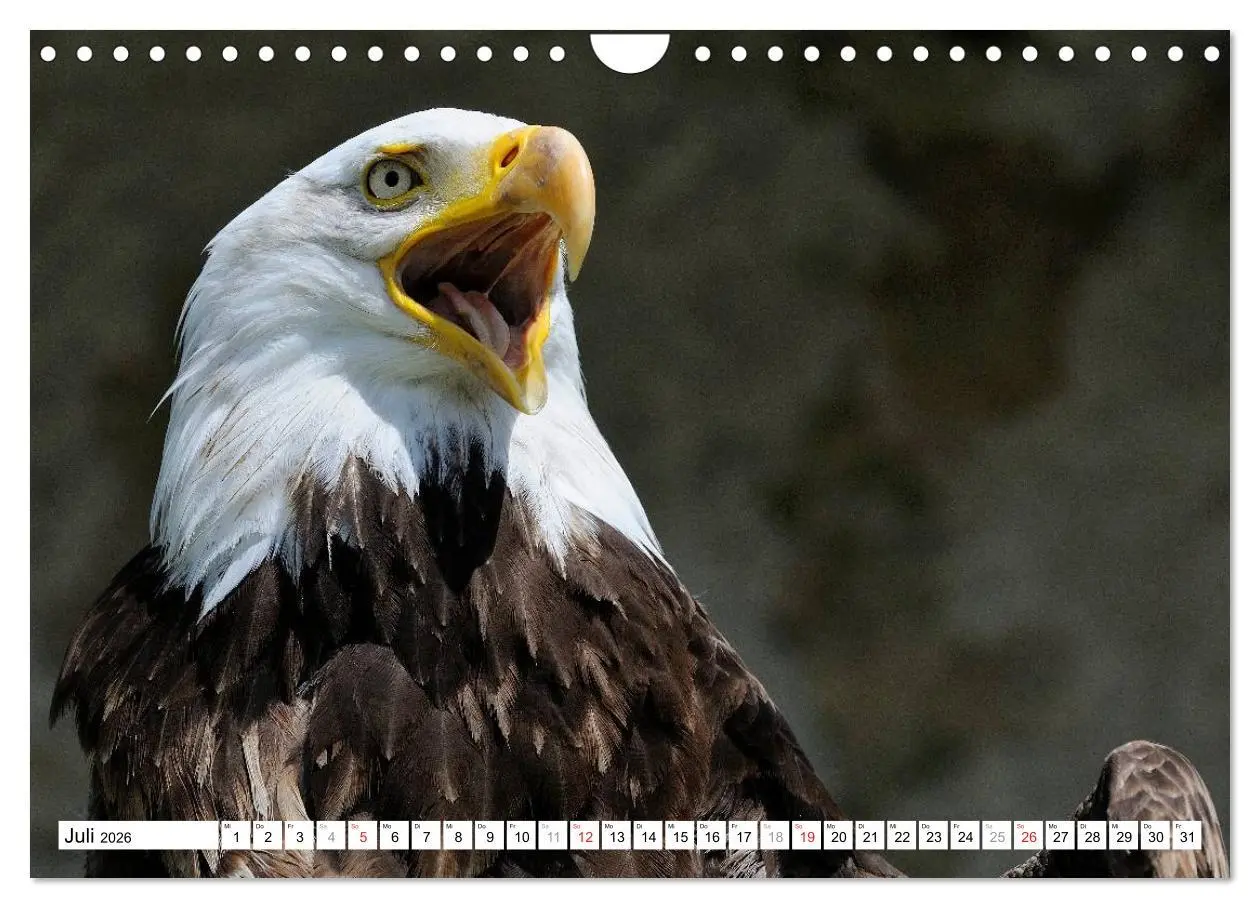 Bild: 9783516061499 | Alaska - Lockruf der Wildnis (Wandkalender 2026 DIN A4 quer),...