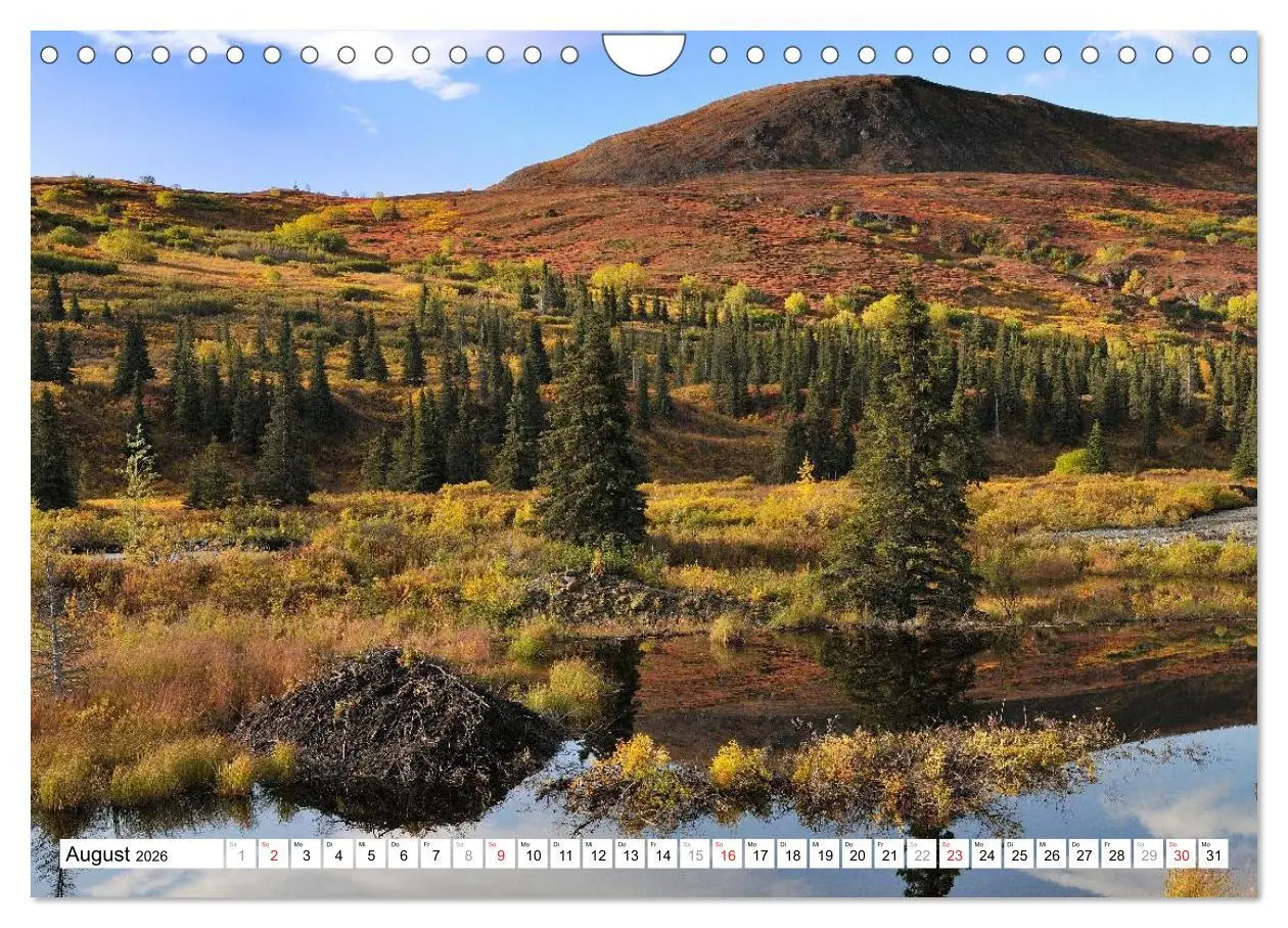 Bild: 9783516061499 | Alaska - Lockruf der Wildnis (Wandkalender 2026 DIN A4 quer),...