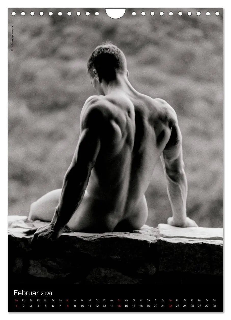 Bild: 9783516441499 | Clair-Obscur Männer 2026 (Wandkalender 2026 DIN A4 hoch), CALVENDO...