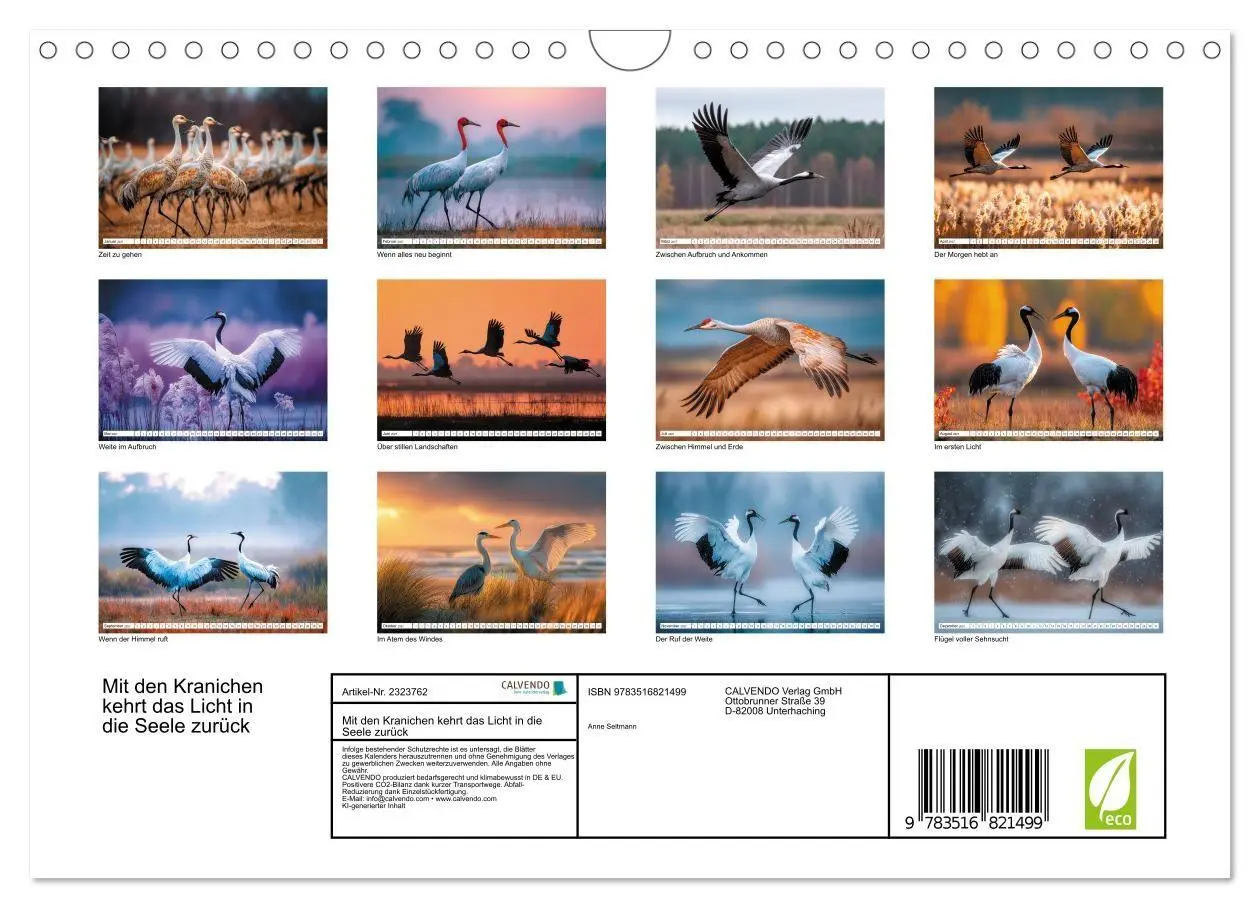 Bild: 9783516821499 | Mit den Kranichen kehrt das Licht in die Seele zurück (Wandkalender...