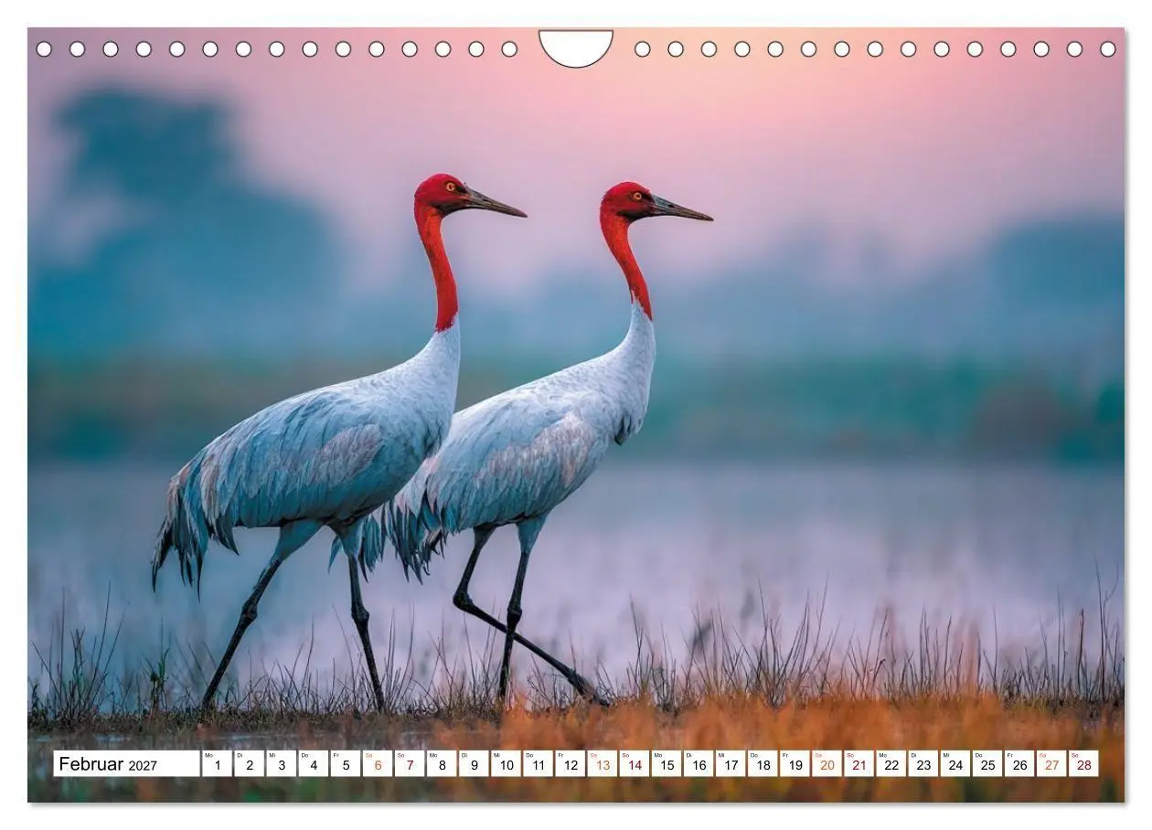 Bild: 9783516821499 | Mit den Kranichen kehrt das Licht in die Seele zurück (Wandkalender...