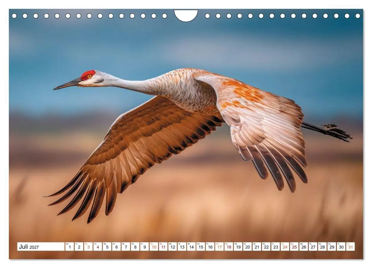 Bild: 9783516821499 | Mit den Kranichen kehrt das Licht in die Seele zurück (Wandkalender...