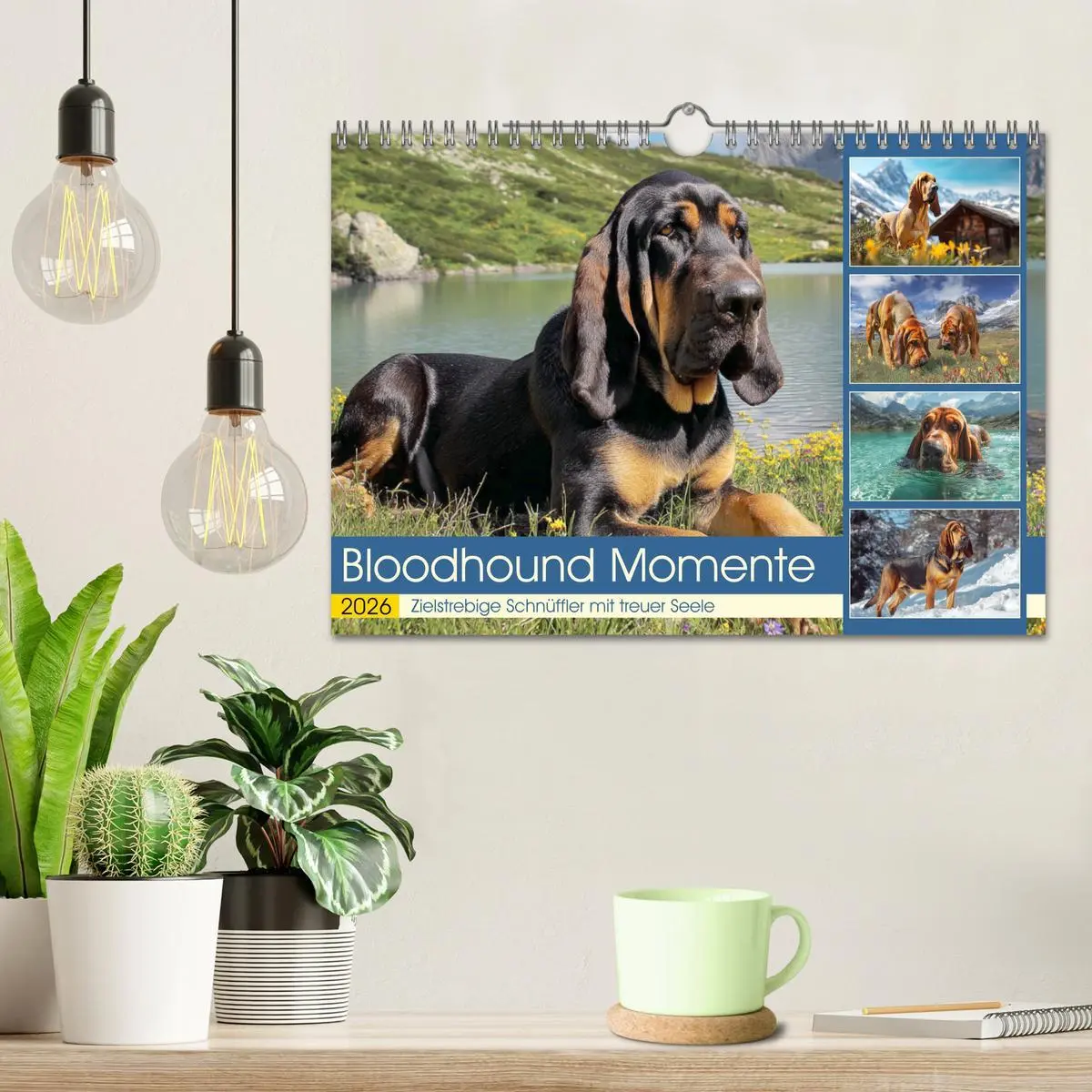 Bild: 9783457721599 | Bloodhound Momente. Zielstrebige Schnüffler mit treuer Seele...