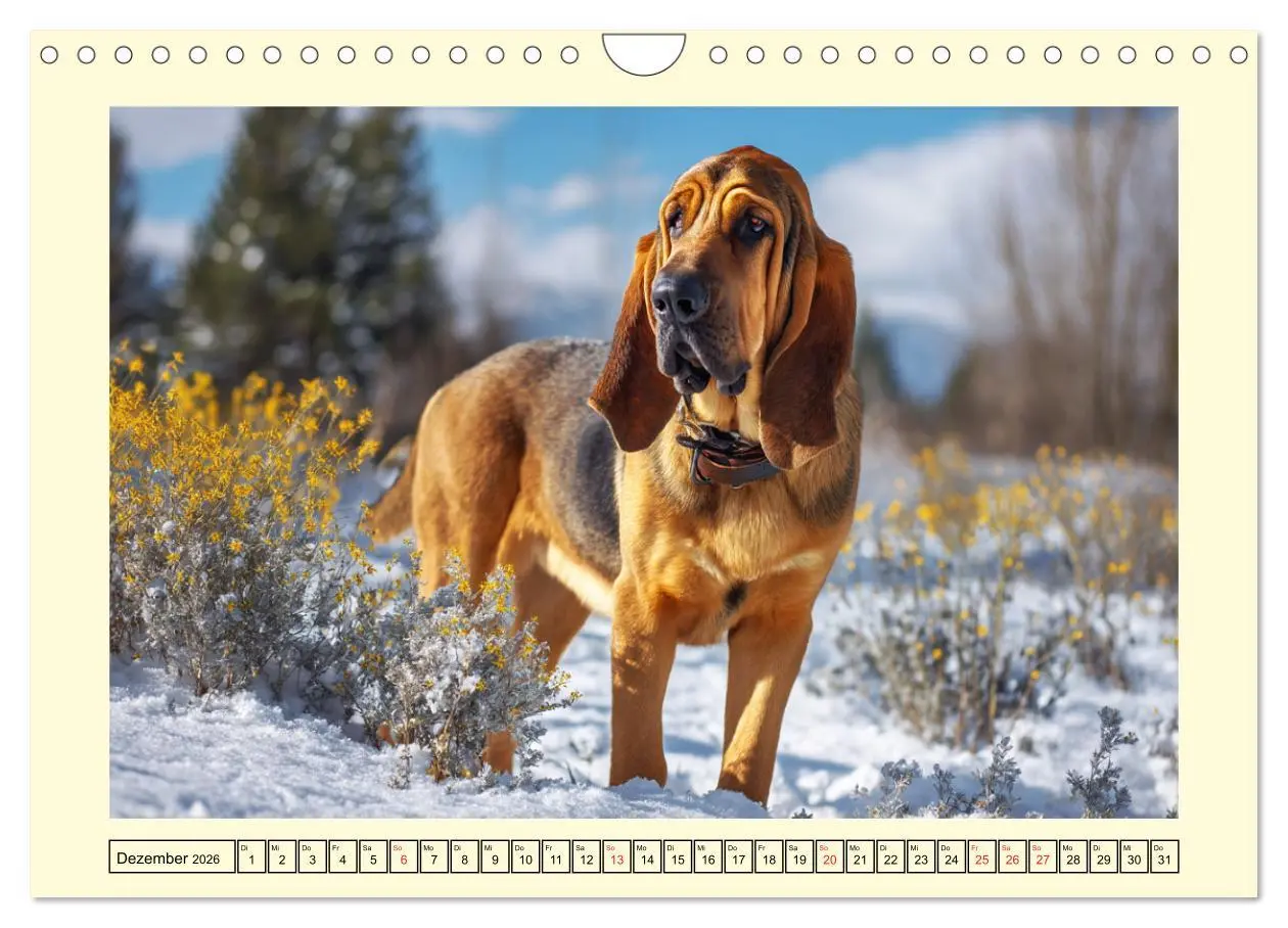 Bild: 9783457721599 | Bloodhound Momente. Zielstrebige Schnüffler mit treuer Seele...
