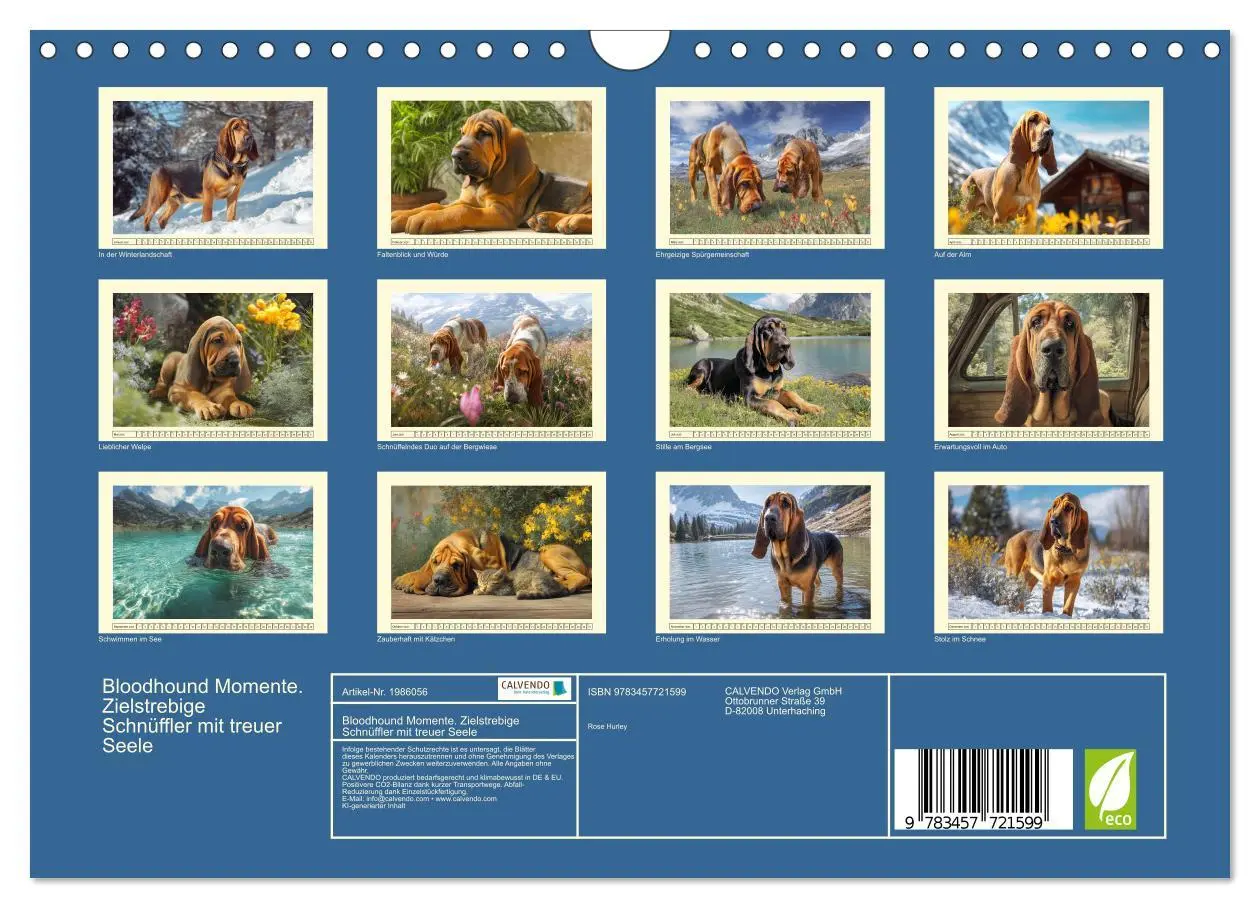 Bild: 9783457721599 | Bloodhound Momente. Zielstrebige Schnüffler mit treuer Seele...