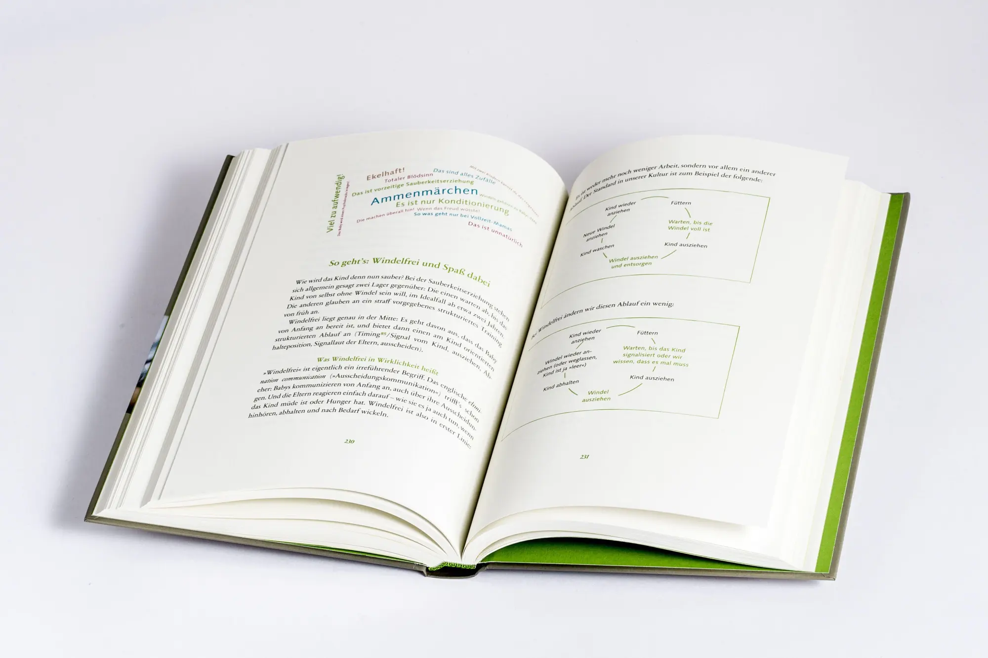 Bild: 9783466311699 | artgerecht - Das andere Babybuch | Nicola Schmidt | Buch | 336 S.