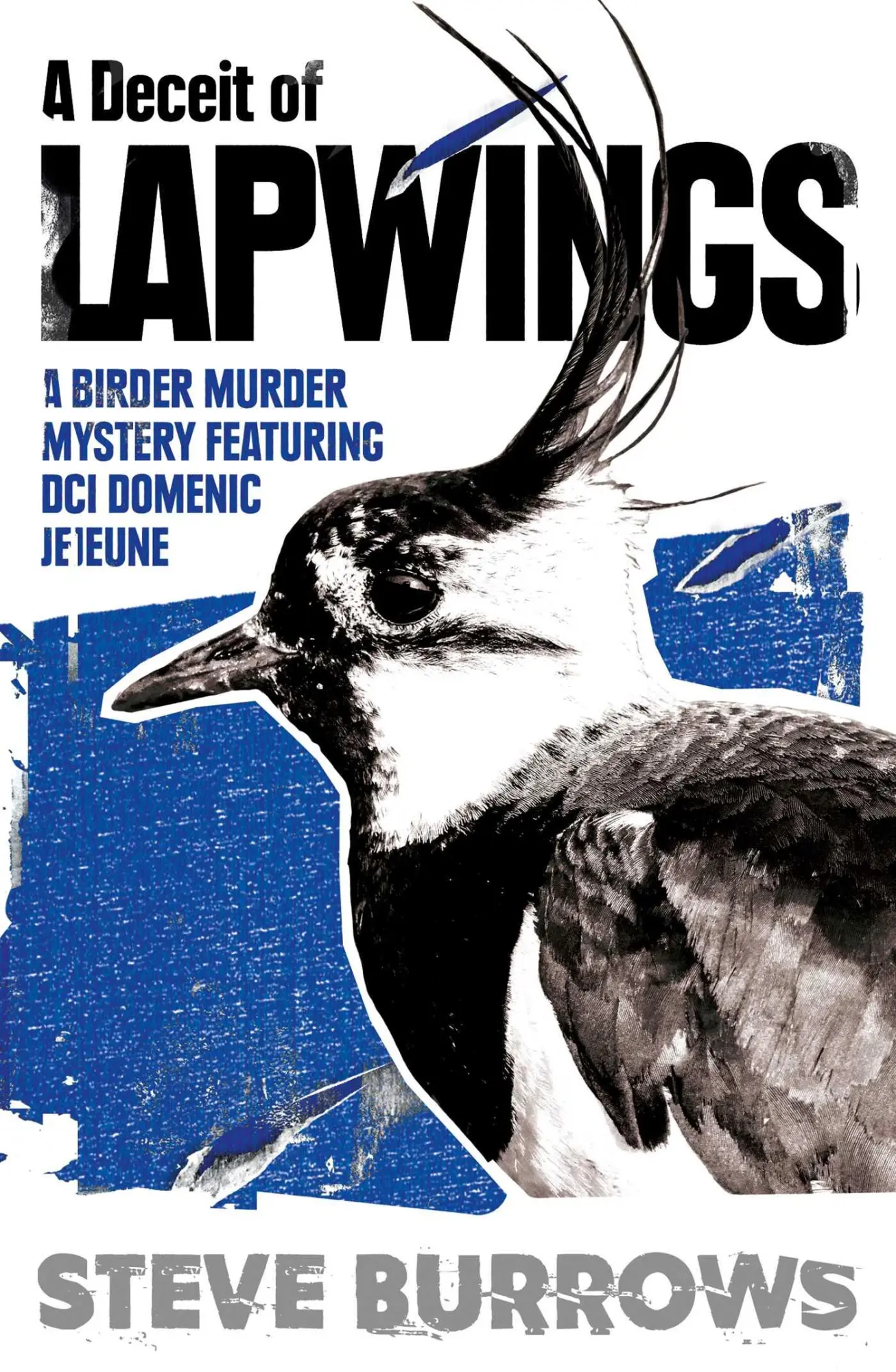 Cover: 9780861541799 | A Deceit of Lapwings | Steve Burrows | Taschenbuch | Englisch | 2025