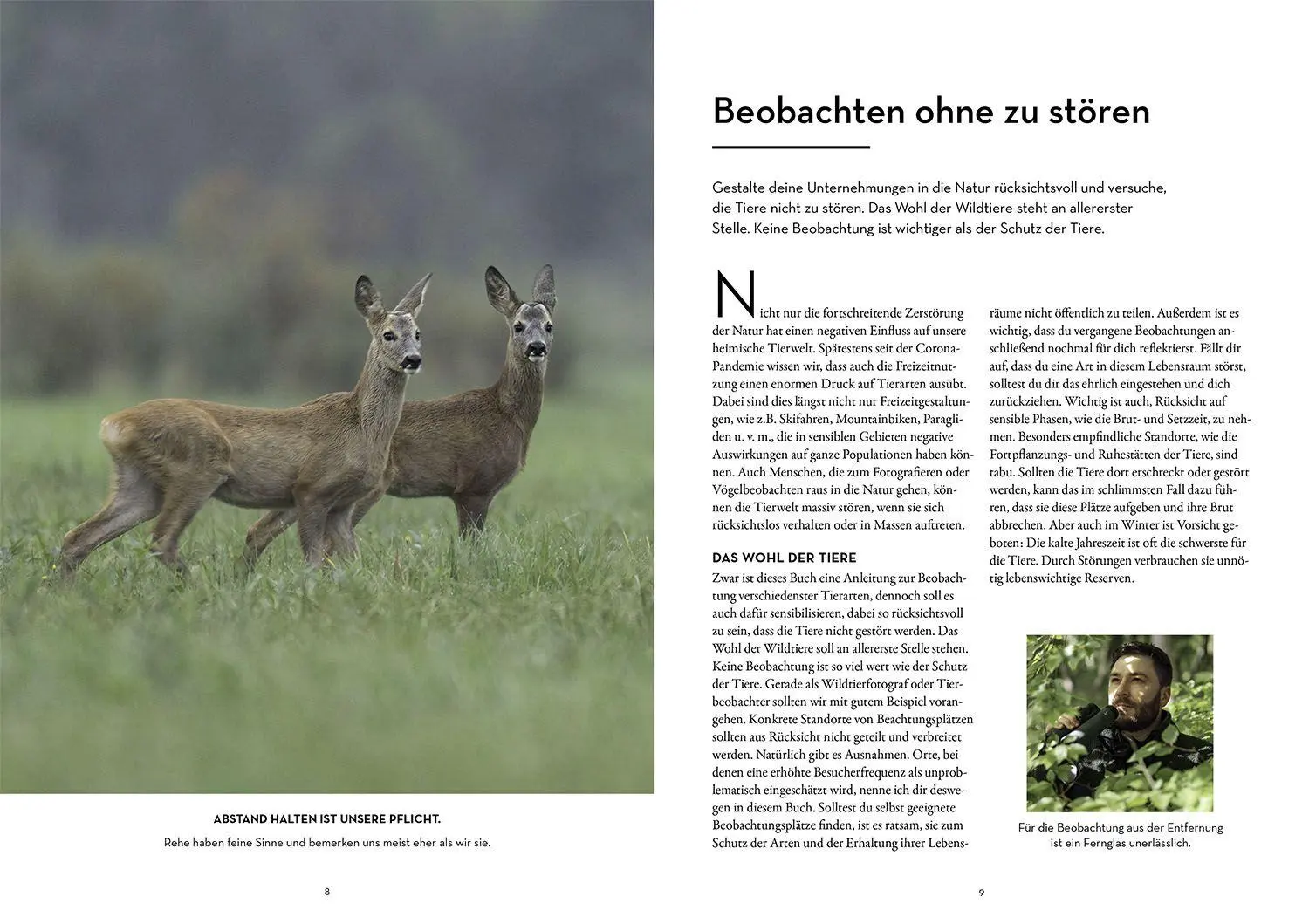 Bild: 9783440181799 | Tiere beobachten mit dem Wildtierguide | Patrick Hundorf | Taschenbuch