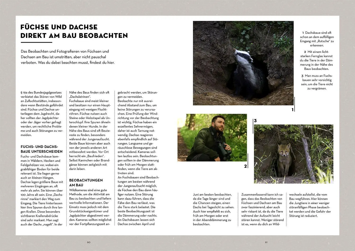 Bild: 9783440181799 | Tiere beobachten mit dem Wildtierguide | Patrick Hundorf | Taschenbuch