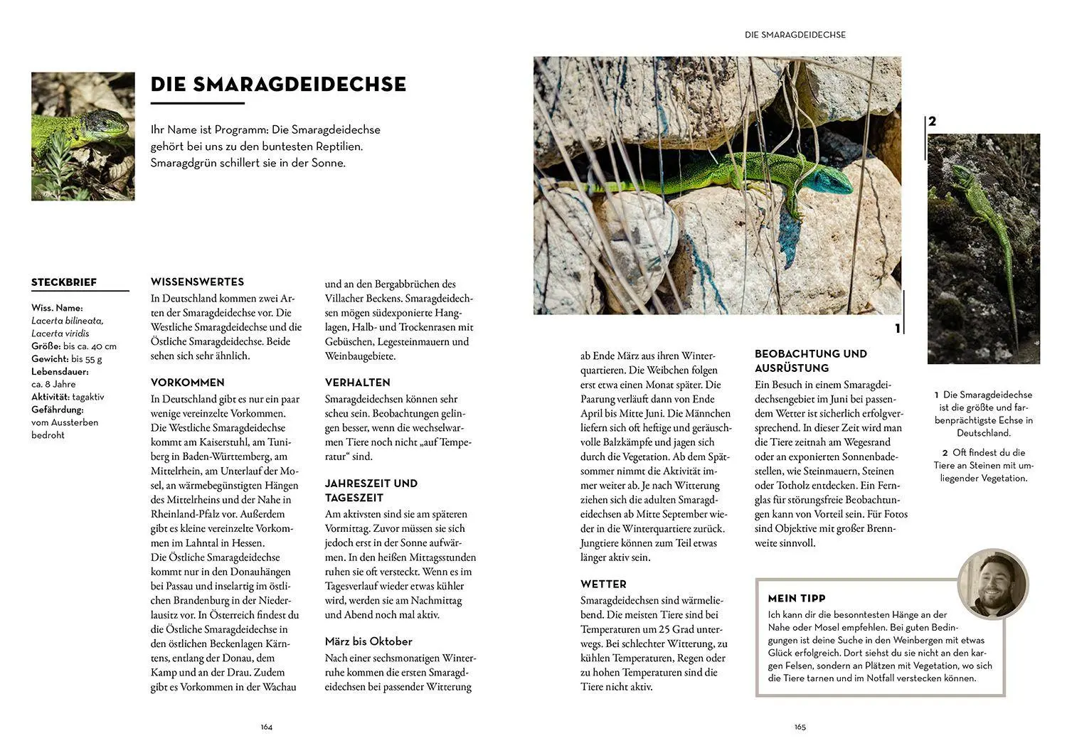 Bild: 9783440181799 | Tiere beobachten mit dem Wildtierguide | Patrick Hundorf | Taschenbuch