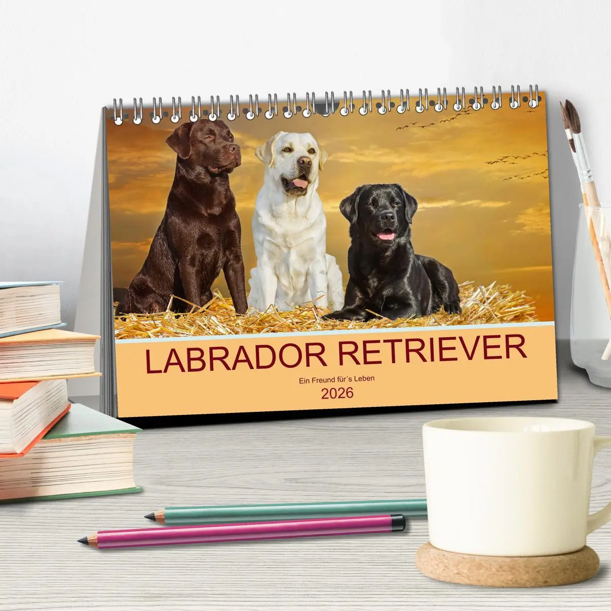 Bild: 9783457631799 | Labrador Retriever - Ein Freund für´s Leben (Tischkalender 2026 DIN...