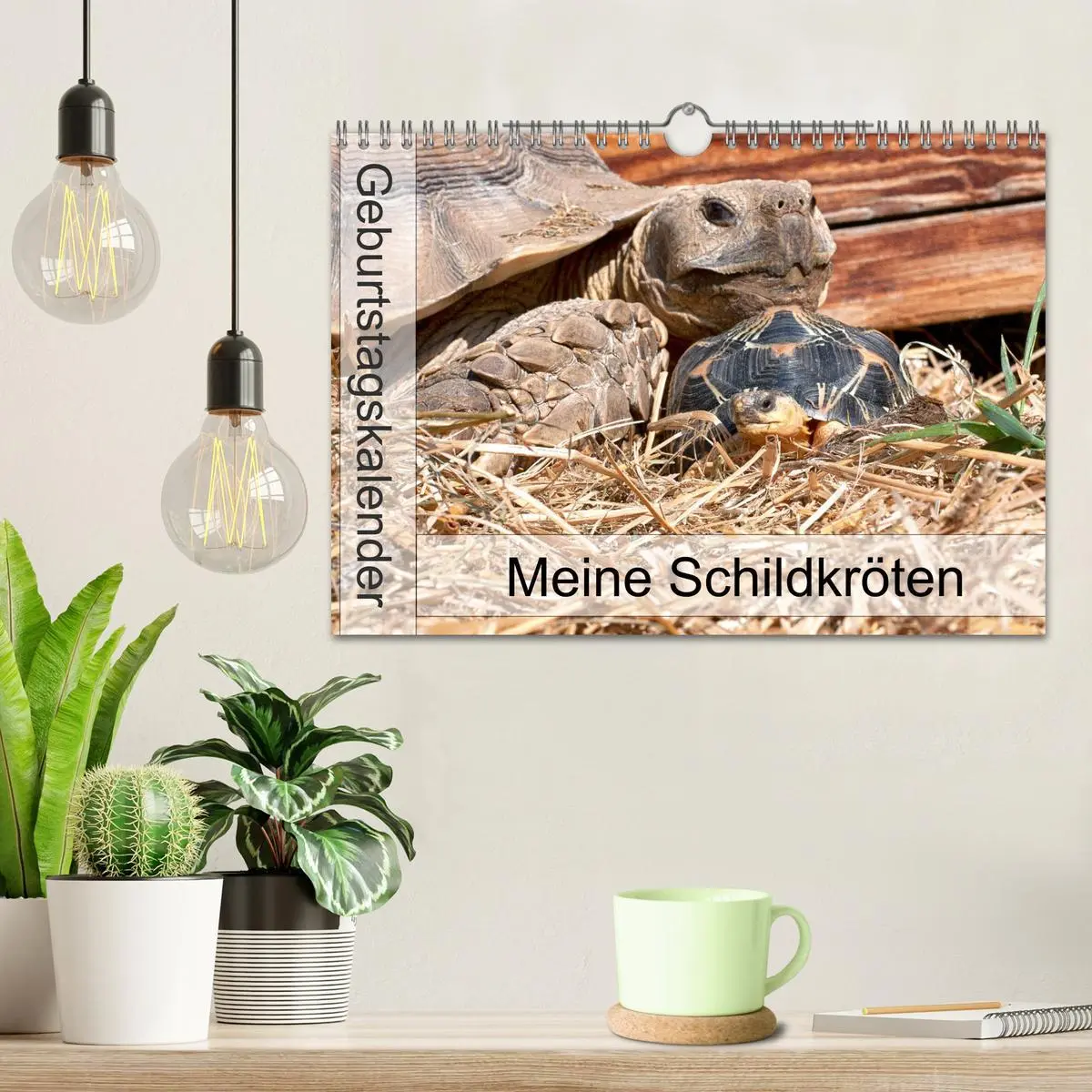 Bild: 9783457701799 | Meine Schildkröten - Geburtstagskalender (Wandkalender 2026 DIN A4...