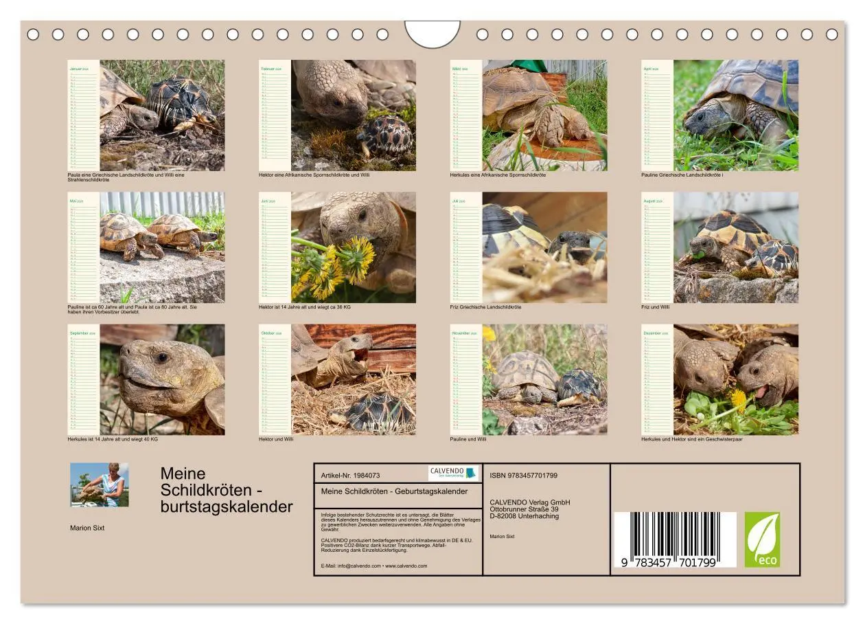 Bild: 9783457701799 | Meine Schildkröten - Geburtstagskalender (Wandkalender 2026 DIN A4...